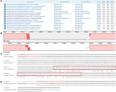 A specific reverse complement sequence for distinguishing Brucella canis from other Brucella species